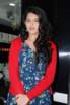 Deeksha Seth Photos